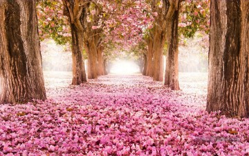 De Photos réalistes œuvres - Rose Chemin Arbre Floral Paysage Peinture à partir de Photos à Art
